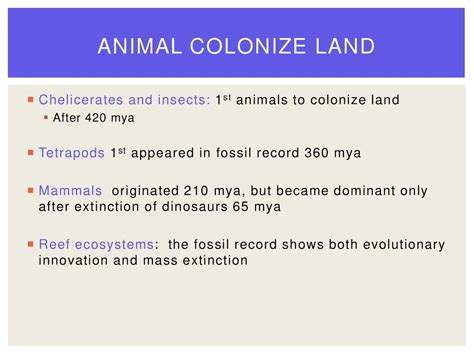 when did animals colonize land.